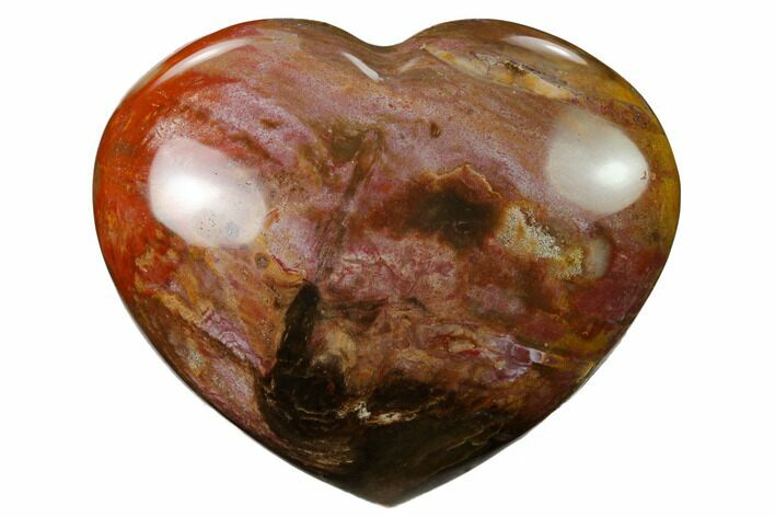 Polished Triassic Petrified Wood Heart - Madagascar #139983